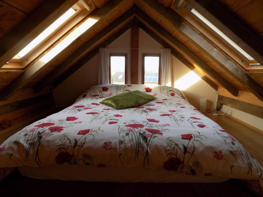 Log Cabin At The Old Summer Dairy Glastonbury サマートン エクステリア 写真